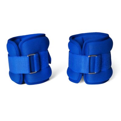 170. PROFIT Evolution 2x0.5kg DK 3310 weights for arms and legs
