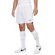 5. Nike Dri-FIT Academy M CW6107-100 Shorts