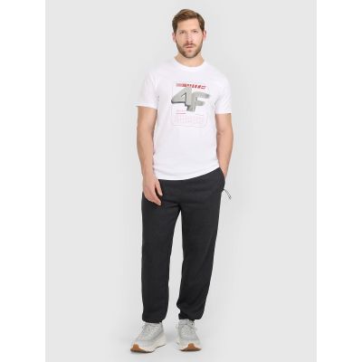 6. Men's regular printed T-shirt 4F 4FRAW25TTSHM3612-10S