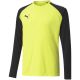 3. Puma teamPacer GK LS Jersey Jr 704939 42