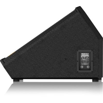 3. Behringer VS1220F 12" passive stage monitor
