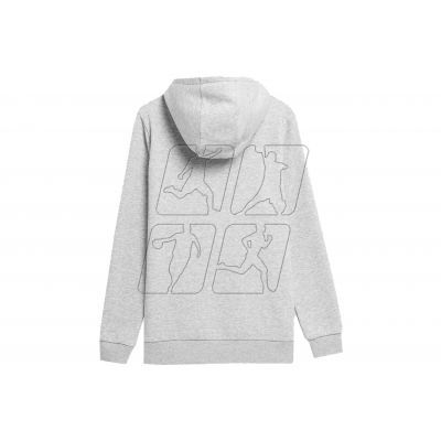 3. Sweatshirt 4F W 4FSS23TSWSF372 cool light gray melange