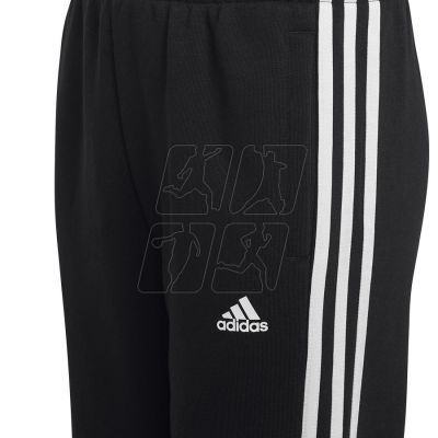 4. Pants adidas 3 Stripes FL Pant Jr. HR6333