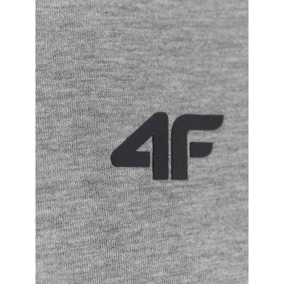 5. Men's regular plain T-shirt 4F 4FRMM00TTSHM4192-27M