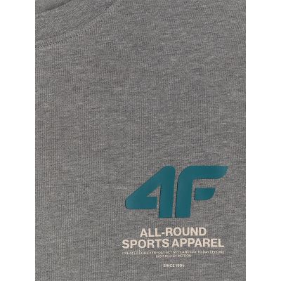 6. Men's regular plain T-shirt 4F 4FRSS26TTSHM3990-24M