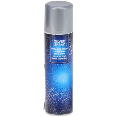 4. DECORATIVE VARNISH 150ML SILVER