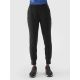 Women's quick-drying training pants 4F 4FWAW24TFTRF689-20S