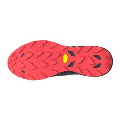 3. Mizuno Wave Daichi 9 shoes