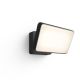 Philips Hue Welcome Outdoor Floodlight | Warm White