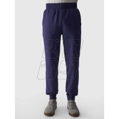 2. Trousers 4F M 4FWMM00TTROM0943-31S