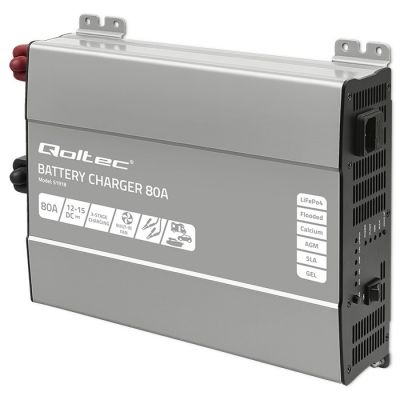 5. Monolith Intelligent Professional Charger for LiFePO4 AGM GEL SLA Batteries 80A 12V Fast Charging