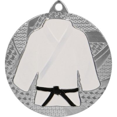9. Silver medal judo/karate