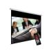4. AVTEK BUSINESS ELECTRIC SCREEN 300P