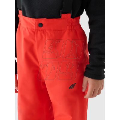 4. Ski pants 4F Jr 4FJWAW24TFTRM654-62S