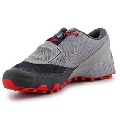 3. Dynafit Feline Sl M 64053-0739 Running Shoes