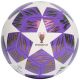 adidas UCL Training Ball JX9089