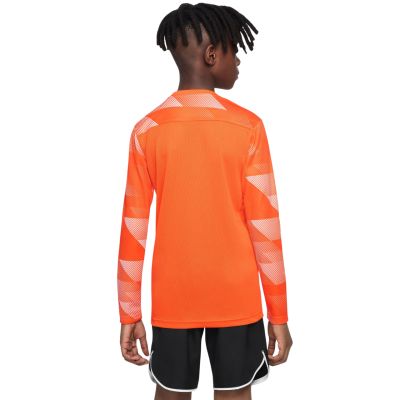13. Nike Dry Park IV JSY LS GK Jr CJ6072-819