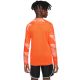 13. Nike Dry Park IV JSY LS GK Jr CJ6072-819