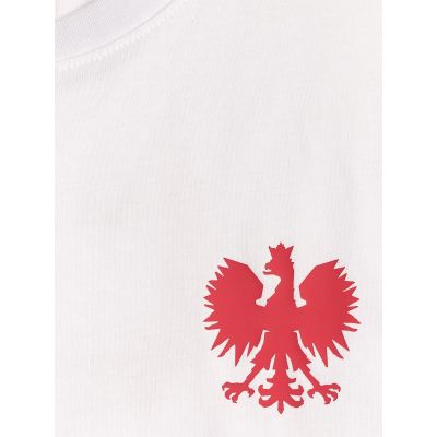 8. Men's cotton fan T-shirt 4F 4FRSS26TTSHM4203-10S