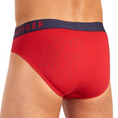 10. Tommy Hilfiger Brief M panties UM0UM01227