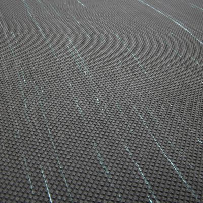 27. Reebok yoga mat with TPE 5MM RAYG-11045BL