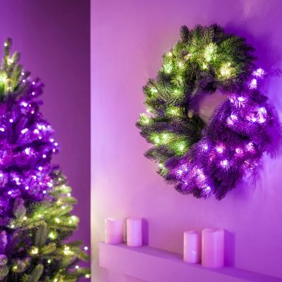 Twinkly Pre-lit Wreath – 50 RGB LEDs, Regal 24" green wire, Type C plug