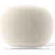 4. Google Home White