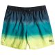 Billabong All Day Fade 16" Shorts EBYJV00121-BLK Green L