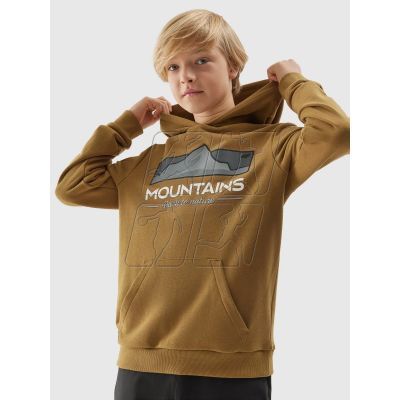 3. 4F Jr sweatshirt 4FJAW23TSWSM634-74S