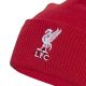 3. adidas Liverpool LFC Woolie Cap JZ4449
