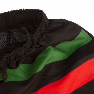 5. GKS Tychy shorts