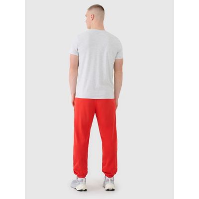 4. Men's jogger sweatpants 4F 4FWMM00TTROM1139-62S