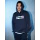 Men's regular hooded sweatshirt 4F 4FRSS26TSWSM2801-31S
