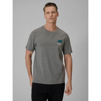Men's regular plain T-shirt 4F 4FRSS26TTSHM3990-24M