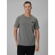 Men's regular plain T-shirt 4F 4FRSS26TTSHM3990-24M