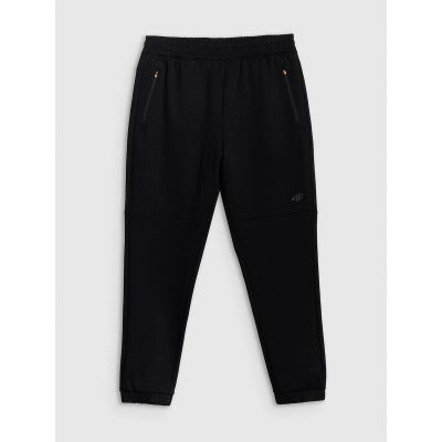 6. Men's jogger sweatpants 4F 4FRAW25TTROM1691-20S