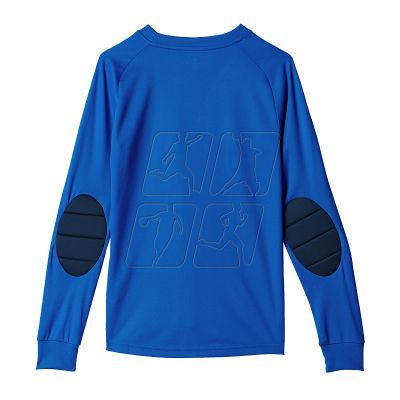 2. Adidas Assita 17 Jr AZ5404 sweatshirt