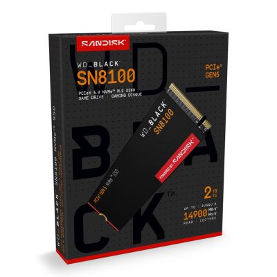 16. SSD WD Black SN8100 w/o HS 2TB WDS200T1X0M