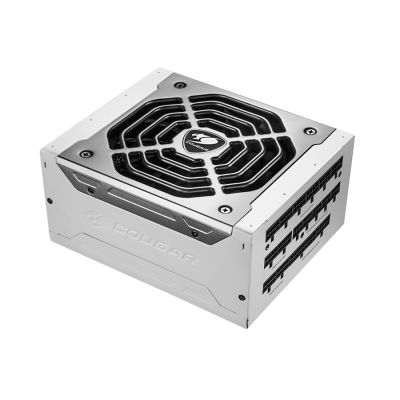 2. COUGAR Platinum Efficiency Polar1050 Power Supply