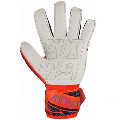 3. Reusch Attrakt Solid Finger Support Jr goalkeeper gloves 5472510 2210