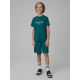 4. Boys' quick-drying sports shorts 4F 4FJRSS26TFSHM1693-46S