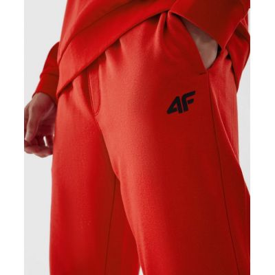 3. Trousers 4F CAS M451 M 4FAW23TTROM451-62S