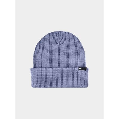 Men's winter hat 4F 4FWAW24ACAPM465-32S
