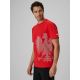4. Men's cotton fan T-shirt 4F 4FRSS26TTSHM4200-62S