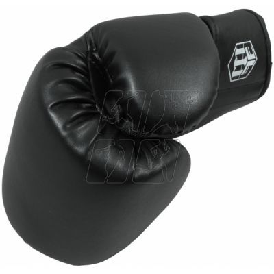 16. Boxing gloves Masters RPU-MFE 0125523-1201