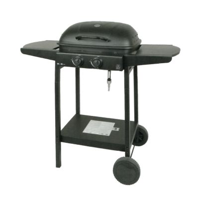 Master 2-burner gas grill 5.6kW MG672