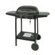 Master 2-burner gas grill 5.6kW MG672