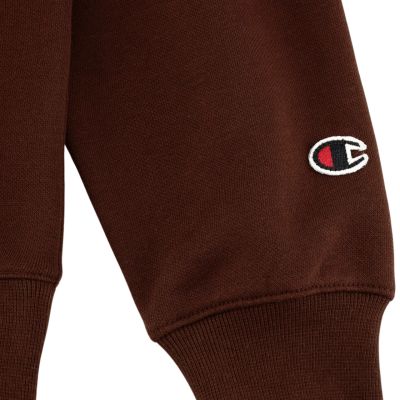 11. Champion Hooded Sweatshirt W 117530 MS524