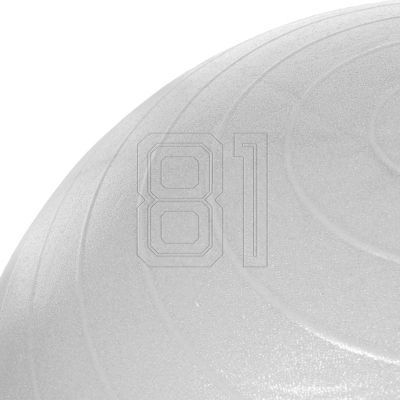 6. PROfit gym ball 55cm black with pump DK2102