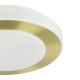 3. EGLO Led Carpi ceiling lighting